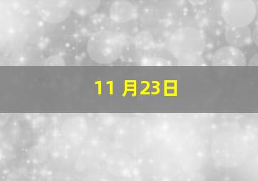 11 月23日